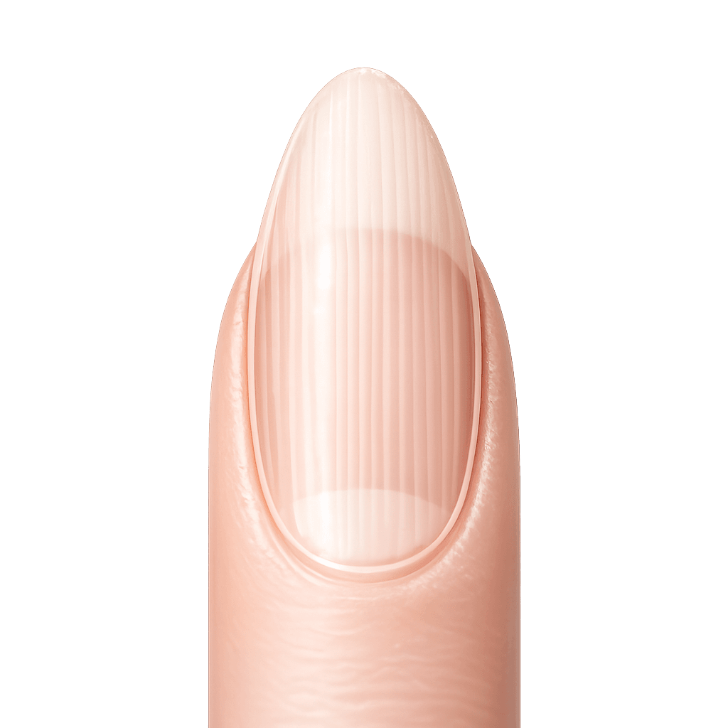 LIGHTLY RIDGED NAIL?