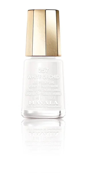257 WHITE ORCHID